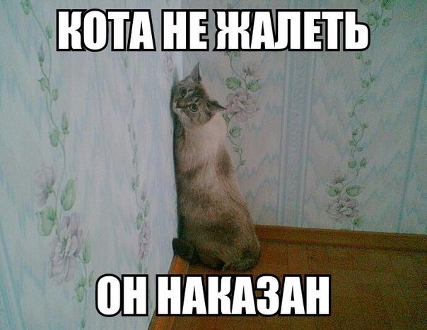      - 3  2015  11:37