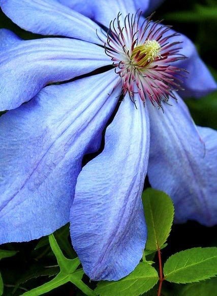   ,          . ... - 6