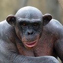 ���� �����, �����������, 61 ��� - ��������� 15 ���� 2015 � ������ ���� ����������