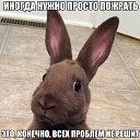 ���� ��������, ��������, 87 ��� - ��������� 11 ���� 2015 � ������ ���� ����������