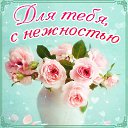 ���� ����, ����������� - ��������� 8 �������� 2015 � ������ �������� ��������