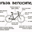 ���� �����, ������ - ��������� 13 ��� 2015 � ������ ������ ��������