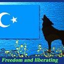 ���� Celaleddin, �������, 63 ���� - ��������� 28 ���� 2015 � ������ ������ ��������