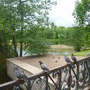 ���� ������, �����-���������, 40 ��� - ��������� 27 ���� 2015 � ������ ���� ����������