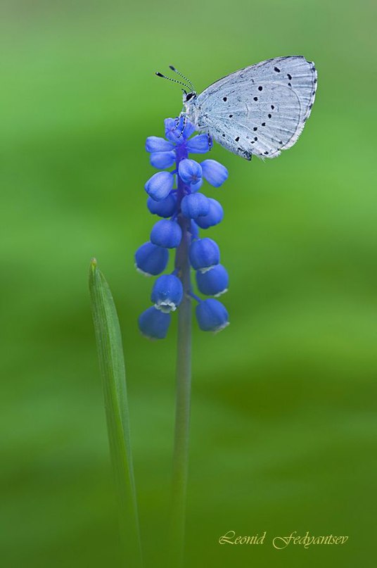 ����� ������� - 28 ���� 2015 � 04:01 - 3