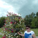 ���� �������, ��������� - ��������� 19 ������� 2015 � ������ ���� ����������