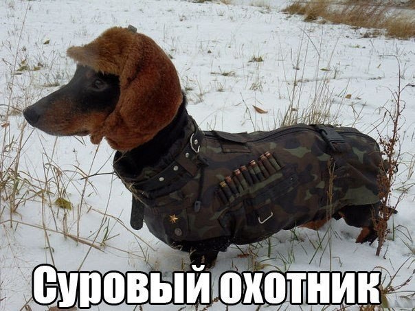 ������������ ���� - 3 ���� 2015 � 09:12