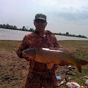 ���� ������, ���������, 52 ���� - ��������� 5 ���� 2015 � ������ ���� ����������