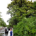  , , 73  -  24  2015    2015.