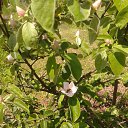 ���� Lyudmila, �������� - ��������� 18 ��� 2015 � ������ ������ ��������