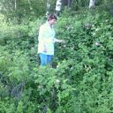 ���� �������, ������������ - ��������� 29 ������� 2015 � ������ ���� ����������