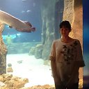 ���� ����, ������, 44 ���� - ��������� 31 ������� 2015 � ������ ���� ����������