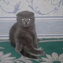 ��� ����� �� ������� ���� ����������