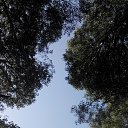 ���� ����, �������, 71 ��� - ��������� 24 ���� 2015 � ������ ���� ����������