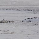 ����� � ������ �� ������� ��������