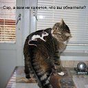 ���� ���, ������, 38 ��� - ��������� 16 ���� 2015 � ������ ��������.�