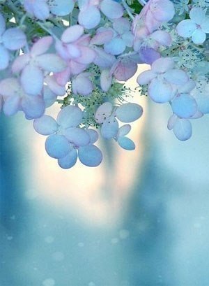 Чем дальше мы идем не в ту сторону,тем дороже стоит обратная дорога. - 6