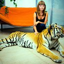 ���� �����, ����� - ��������� 31 ������� 2015 � ������ ���� ����������