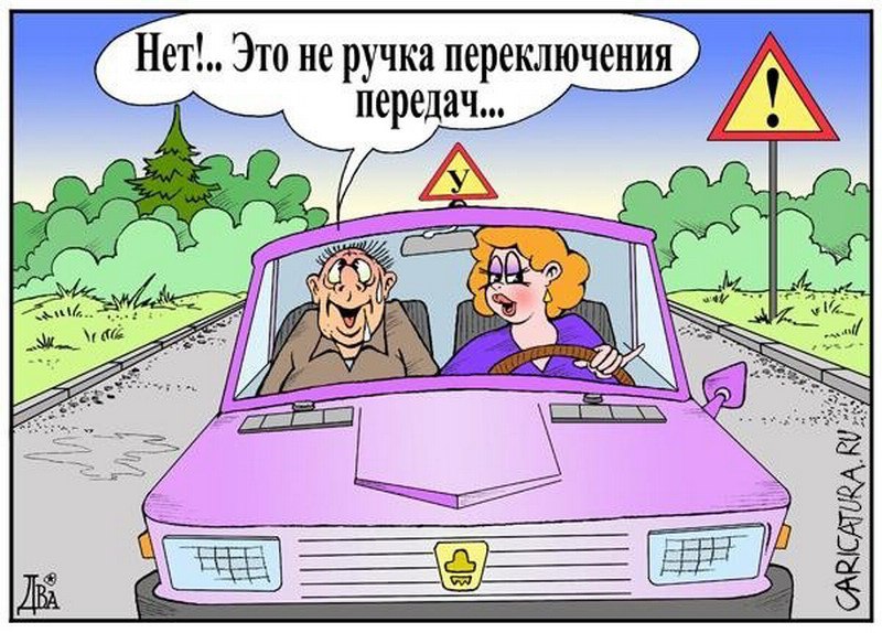  . 14 :  .    . 15 :    . 16 ...