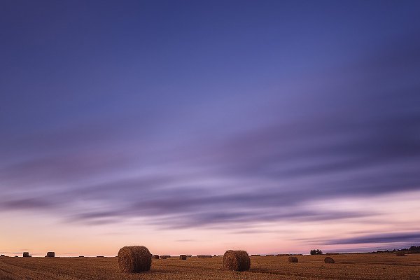 Пейзаж со стогом. Автор фото - Дмитрий Купрацевич. Каждый год в конце лета на полях появляются ... - 5