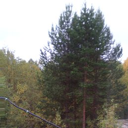 ��������� �������, ������-��-����, 34 ����