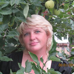 ���� ������� �������, �����, 53 ���� - ��������� 29 ������� 2015