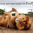 ���� �����, ������, 54 ���� - ��������� 3 ���� 2015 � ������ �?????�