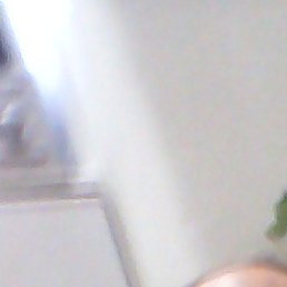 Artash, ����������, 42 ����