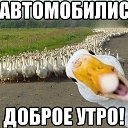���� C�����, �����-���������, 52 ���� - ��������� 28 ���� 2015 � ������ �������� �����