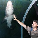 ���� �����, ������, 51 ��� - ��������� 18 ������� 2015 � ������ ������ 2014�