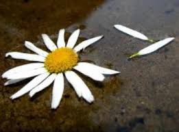 -   , ? - . -    , ? - . -    , ...