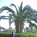 ���� ��������, ����, 54 ���� - ��������� 8 ������� 2015 � ������ ���� ����������