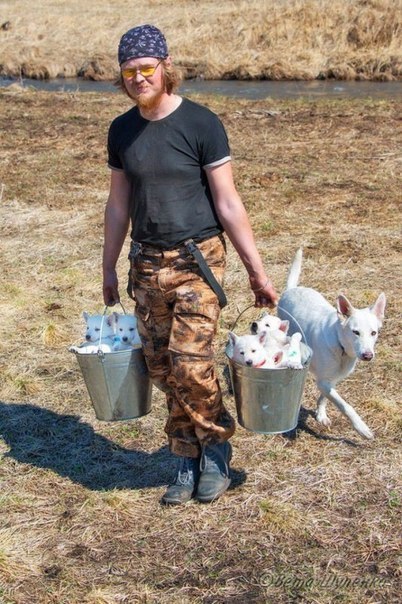 ��� ����� �������