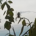 ���� ������, ���������, 45 ��� - ��������� 30 ���� 2015 � ������ ��������