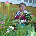 ���� �������, ����������� - ��������� 21 ���� 2015 � ������ �����