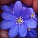 �������� ���������)) �� ������� �))�