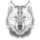 ���� Isi_lol, ���������, 22 ���� - ��������� 24 ��� 2015