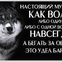 ���� Edgar, �����������, 55 ��� - ��������� 12 ��� 2015 � ������ ���� ����������