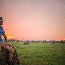 ���� �����, �����-���������, 36 ��� - ��������� 25 ������� 2015 � ������ ���� ����������