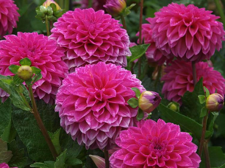 ���� - 10 ���� 2015 � 19:22