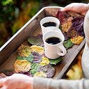 ���� ������, ������, 68 ��� - ��������� 8 �������� 2015 � ������ ������ ��������