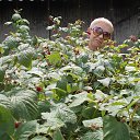 ���� �����, �������, 68 ��� - ��������� 20 ���� 2015 � ������ ������ ��������