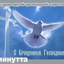 ���� ������, ����������� - ��������� 12 ���� 2015