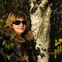 ���� �������, ������, 56 ��� - ��������� 13 ������� 2015 � ������ ���� ����������