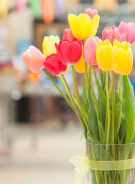 ||  ... || - 16  2015  12:28 - 5