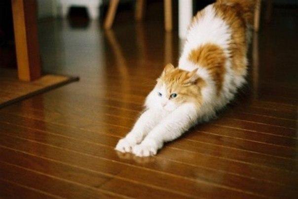 ...�������� ���� ������� ���� :) - 7