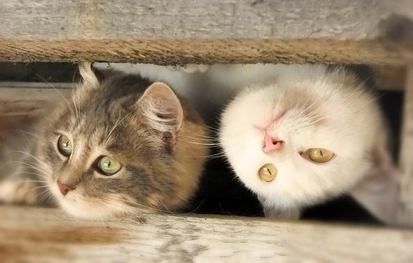 - Что делать, если все надоело? - Взглянуть на мир иначе.