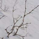 ���������� ����� �� ������� ��������