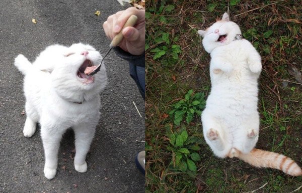 ������ :3
