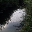 ���� �������, �����-���������, 56 ��� - ��������� 2 �������� 2015 � ������ ��������